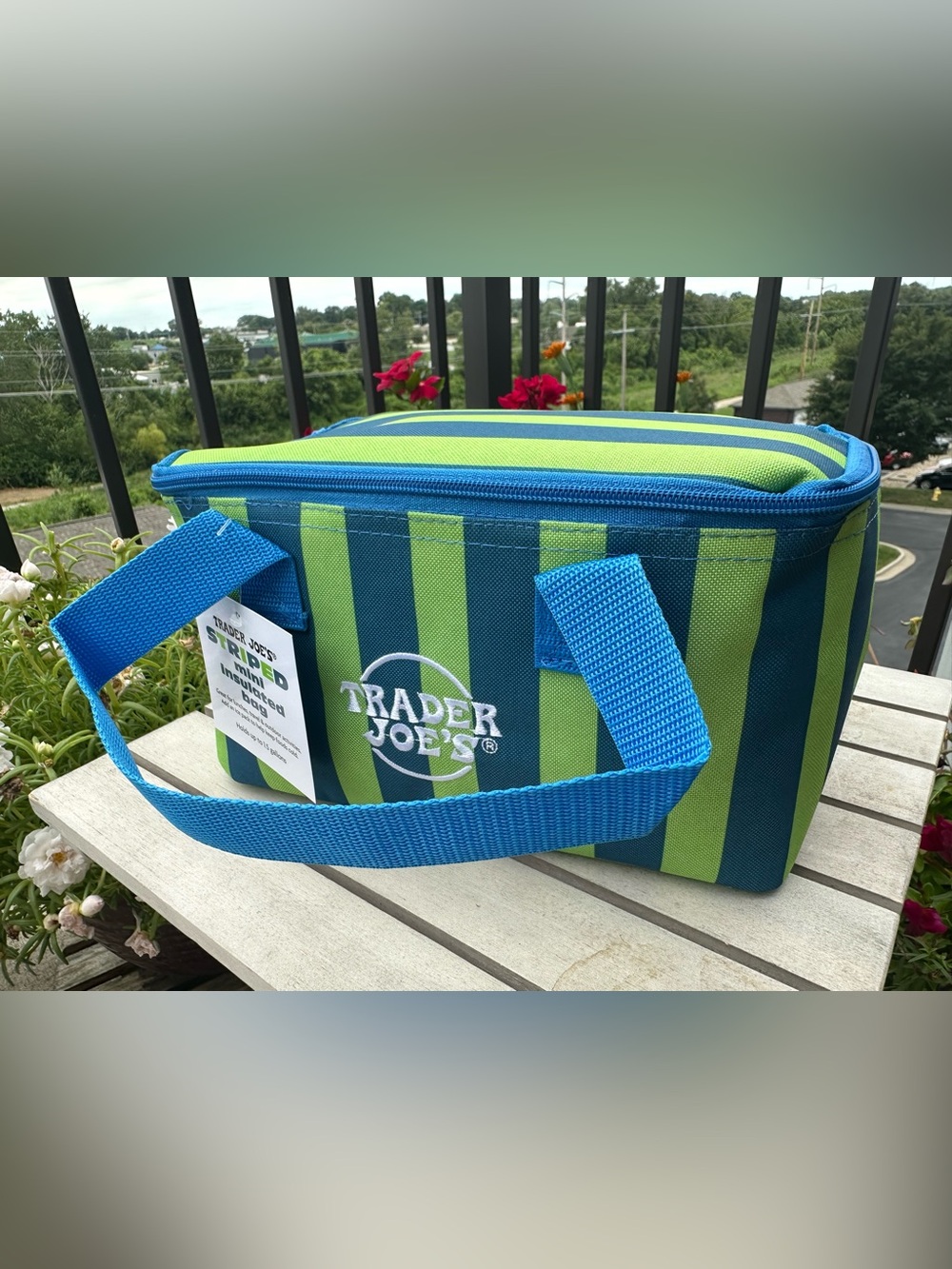 Trader Joe’s Limited-Release Mini Insulated Bag Spring 2026 Blue Green Striped